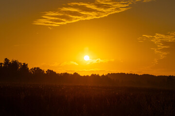 Fototapeta premium A beautiful tree silhouettes against the colorful sunrise sky. Natural summer scenery of rural Latvia, Northern Europe.