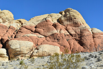 Fototapeta premium red rock canyon