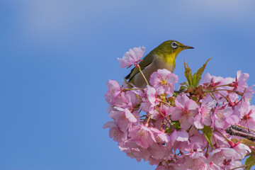 見つめる先にあるもの