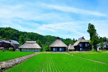 初夏の荻ノ島かやぶき環状集落（新潟県）