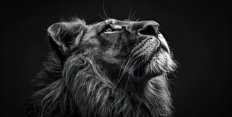 Powerful Presence, Majestic Lion, King of Beasts, Royal Imagery, Concept Art
