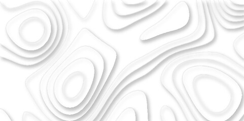Topographic map of geology and contour map geometric lines, Topographic canyon geometric map relief texture with curved layers, geometric white abstract papercut of line topography.	