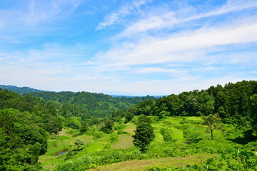 蒲生の棚田（新潟県）