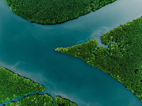 View from above, aerial shot, stunning view of Ao Phang Nga (Phang Nga Bay) National Park with a river flowing through a mangrove forest Thailand.