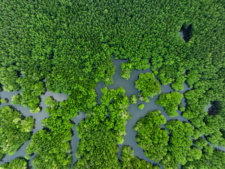View from above, aerial shot, stunning view of Ao Phang Nga (Phang Nga Bay) National Park with a river flowing through a mangrove forest Thailand.