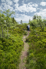 Femme montant un sentier dans le massif du Pilat (Loire)