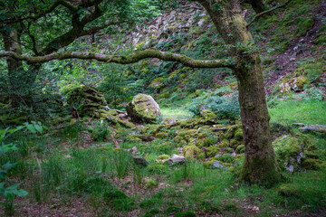 walking the Aberglaslyn Pass in North Wales