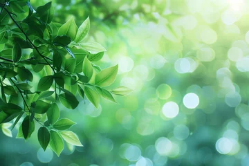 Ingelijste posters Ziekenhuis Blurred green nature background with bokeh effect, soft focus, and defocused light in a spring forest. Perfect for nature-themed projects, calming visuals, wellness content, and seasonal promotions.  © Holly Berridge