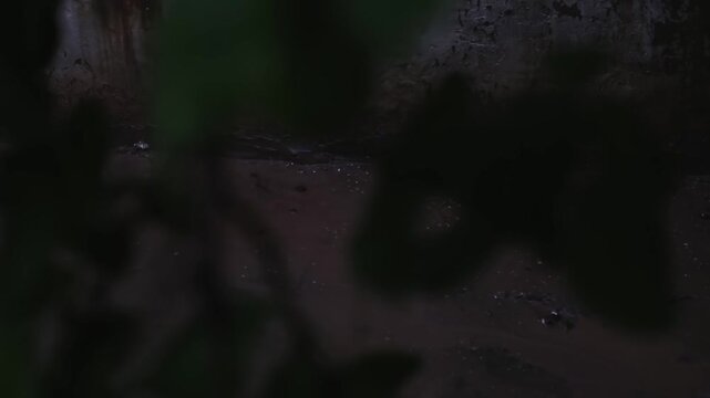 Streams of rain flow along with the mud on the wall.