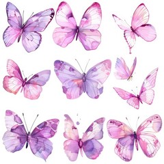 Fototapeta premium Bright pink hand painted watercolor butterflies.