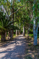 A view down the trail leading to the ruins at Butrint, Albania in summertime