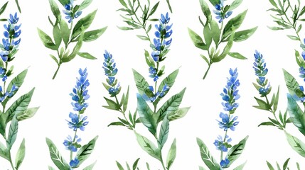 Fototapeta premium It is a seamless pattern in watercolor of blue vervain that has been hand drawn.