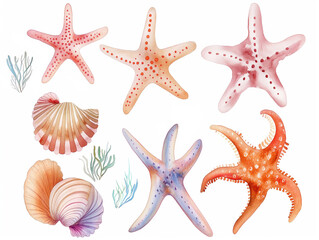 Watercolor set of cute underwater starfish, shell, and algae for cute baby design