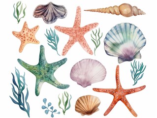 Watercolor set of cute underwater starfish, shell, and algae for cute baby design
