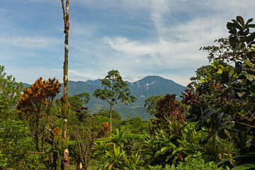 view towards Bijagua de Upala in the Tenorio region in Costa Rica