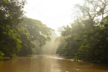 Rio Frio river in the Cano Negro nature reserve in Costa Rica after sunrise