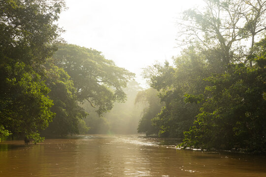Rio Frio river in the Cano Negro nature reserve in Costa Rica after sunrise