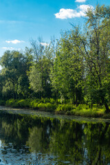River flows along banks with grass and green trees at sunset. River and trees landscape