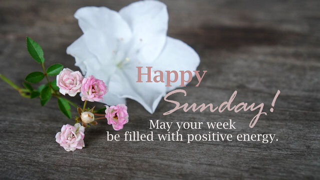Sunday greeting with flowers and inspirational wishes quote - May your week be filled with positive energy. Happy Sunday card with white flower and tiny pink roses on wooden rustic table.