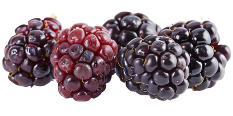 Blackberries isolated on transparent or white background 
