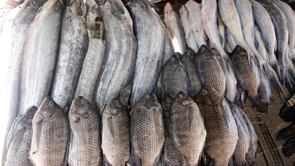 Fishes on stall ready for sale. multiple types of fishes on stall in Asian market. Cat Fish and...