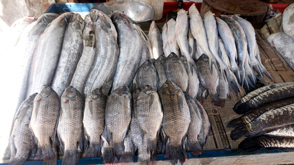 Fishes on stall ready for sale. multiple types of fishes on stall in Asian market. Cat Fish and...