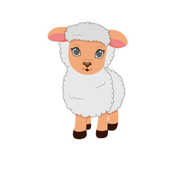 Cute sheep illustration for kids education