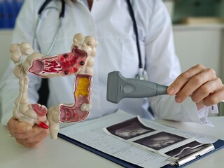 A doctor uses a model of the colon and an ultrasound probe to explain the anatomy of the colon to a...