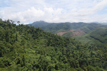 Naklejka premium the tree mountain view before from banahill cable car