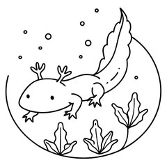 Axolotls coloring pages for kids coloring book
