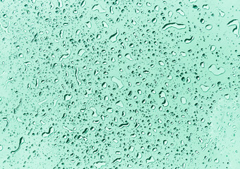 Water drops on green background, green water drops pattern background