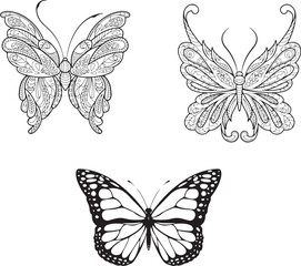 Obraz premium Batterfly vector art graphic resources, vector Element image design