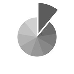 Pie chart infographic template,graphic circle divided in 9 segments.