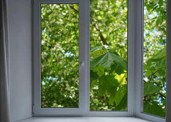Naklejka premium View from the window, green trees, landscape with forest.