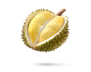 Obraz premium Ripe Durian fruit cut in half levitate isolated on white background. Clipping path.