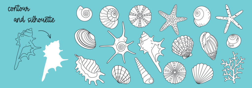Big summer set of isolated sea flat cartoon underwater world elements, variety of seashells, starfish, sea urchins, corals for pattern, stickers, logo. Outline, silhouette. Vector EPS10