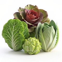 Fototapeta premium Variety of fresh cabbages with detailed textures and vibrant colors. 3D Render.