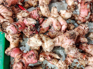 A stack of Galangal, a traditional spice widely used in Asian, especially Southeast Asian, cuisine, displayed in a traditional market stall