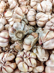 A pile of fresh garlic bulbs displayed in a traditional market stall. The garlic is neatly arranged and ready for customers