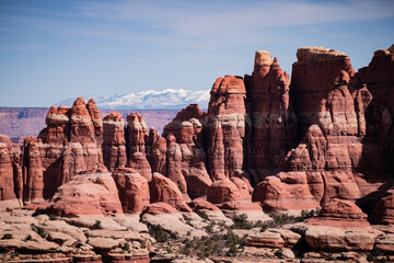 Fototapeta premium Stunning landscape of striking red rock needles formations in Canyonlands National Park, Utah. With the snow-capped La Sal Mountains in the distance - USA