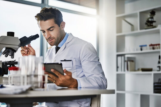 Man, online and microscope with tablet in laboratory for medical research, planning and monitor experiment or observation. Doctor, nanotechnology and internet for scientific calculations and analysis