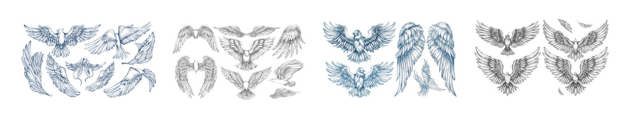 Obraz premium Vintage modern set with hand drawn wings. Sketch bird or angel wing with feathers. Engraved different heraldic symbols for tattoo or emblem. Wing elements in different positions and shapes.