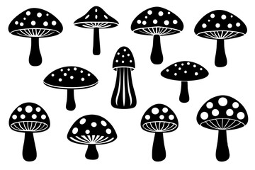 A group of black and white mushrooms arranged on a white surface