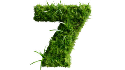 Digit 7 made with grass, PNG file, transparent background, isolated on white