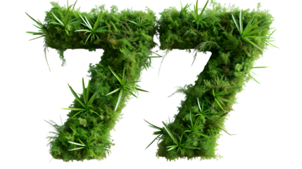 Digit 77 made with grass, PNG file, transparent background, isolated on white
