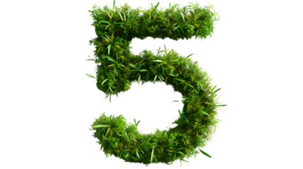 Digit 5 made with grass, PNG file, transparent background, isolated on white