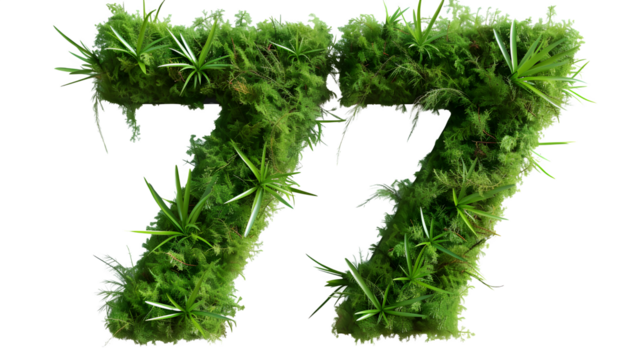 Digit 77 made with grass, PNG file, transparent background, isolated on white