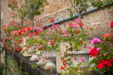 Colourful flowers in the well tended, pretty garden at Château de Peufeilhoux, Vallon-en-Sully, France.
