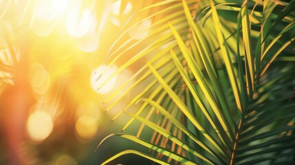 Obraz premium Abstract green palm leaf background with blurred sunlight and copy space Vintage color filter for tropical summer design concept