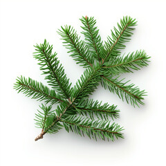 A lush green Christmas tree branch with needles, isolated on a white background. Ideal for holiday designs and seasonal decorations.